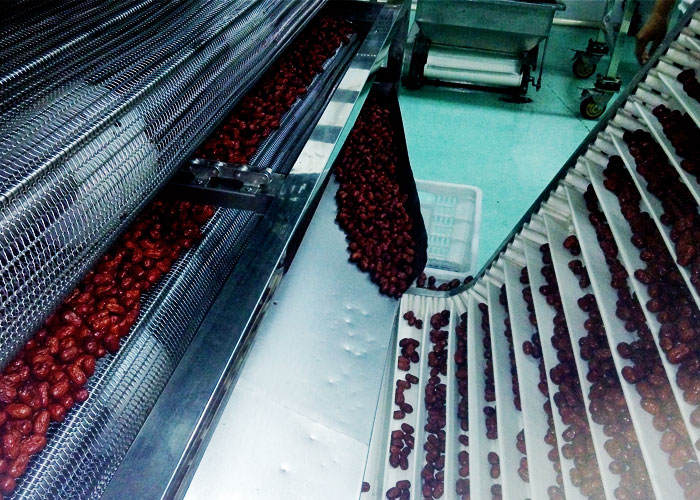 紅棗微波幹燥設備好想你棗業投産使用